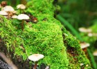 克拉玛依人民医院试管婴儿费用解析，如何做好经济预算