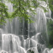 理解试管婴儿移植后尿检结果，为何检测不到
