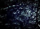 突破生命科学的边界，第3代试管婴儿技术的特点