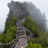 试管婴儿一次可以移植几个胚胎？全面解析